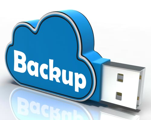 Buckup Services Services